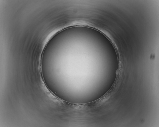 X0000111660815200907171608