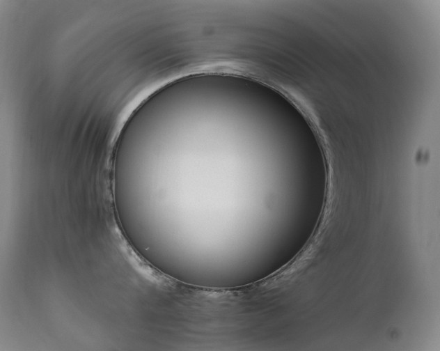 X0000111660816200907171608
