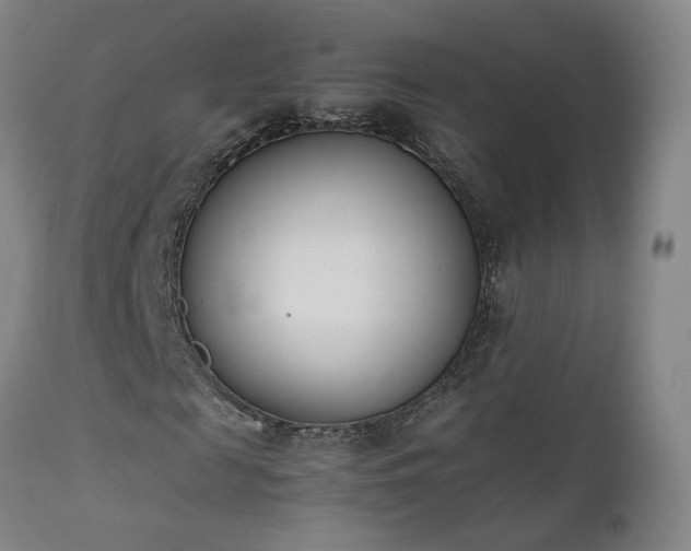 X0000111660817200907171607