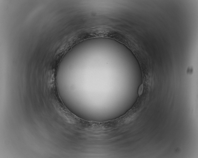 X0000111660818200907171607