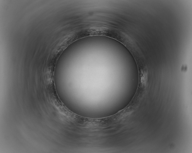 X0000111660819200907171607