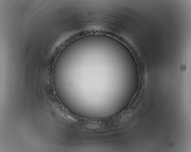 X0000111660823200907171607