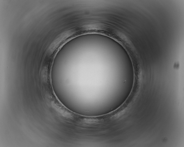 X0000111660825200907171607