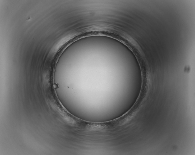 X0000111660826200907171607