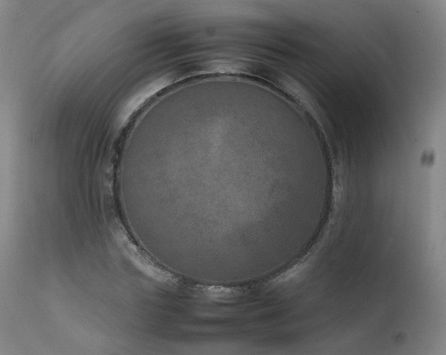 X0000111660827200907171607