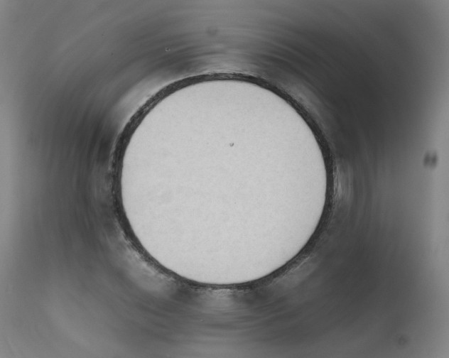 X0000111660828200907171607