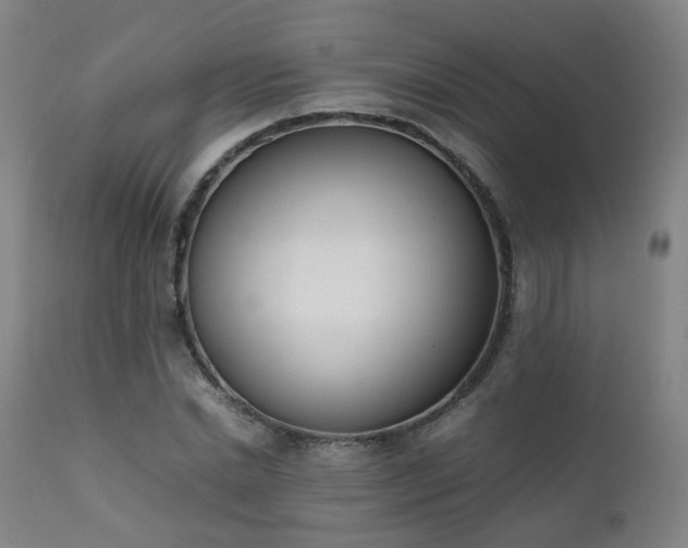 X0000111660830200907171607
