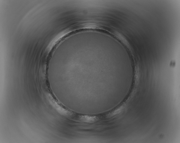 X0000111660831200907171607
