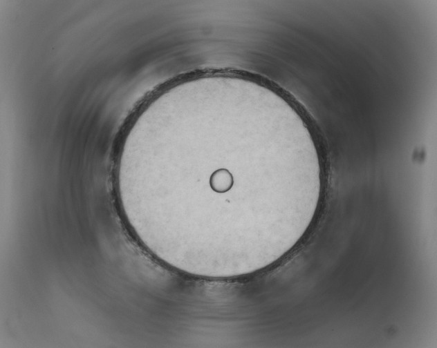 X0000111660832200907171607