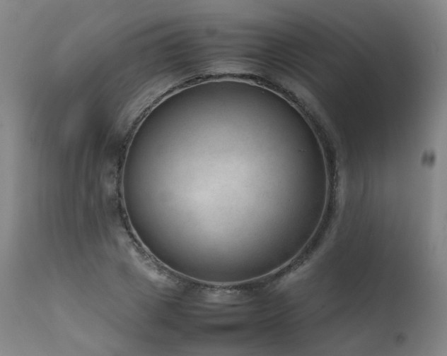 X0000111660833200907171608