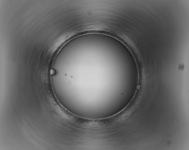 X0000111660834200907171608