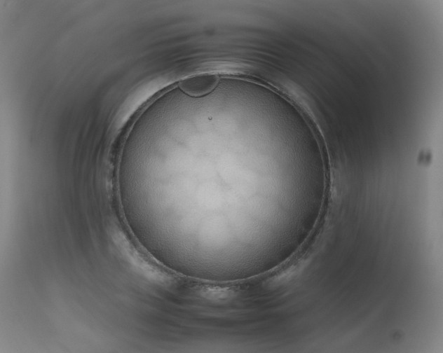 X0000111660835200907171608