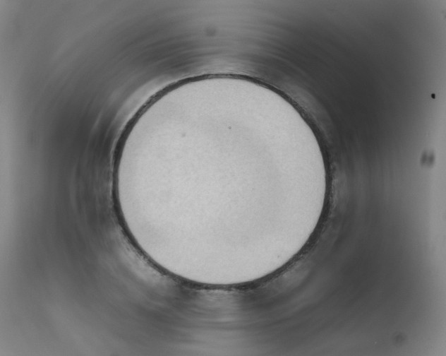X0000111660836200907171608