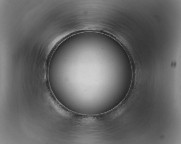 X0000111660838200907171608