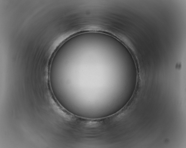 X0000111660839200907171608