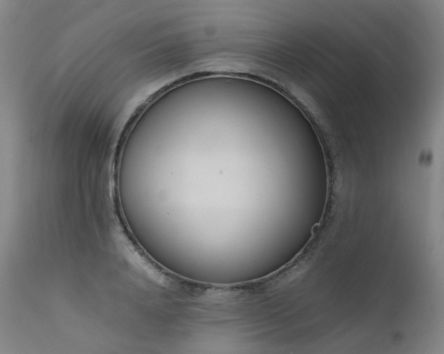 X0000111660840200907171608