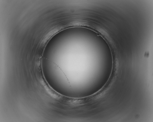 X0000111660841200907171608