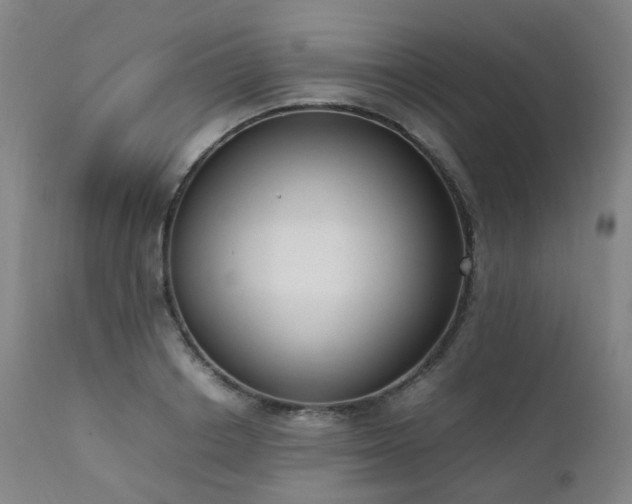 X0000111660842200907171608