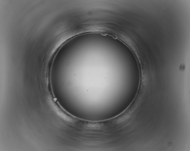 X0000111660843200907171608