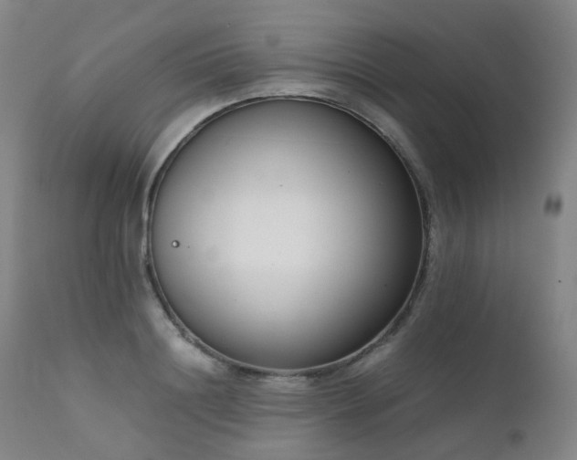X0000111660844200907171608