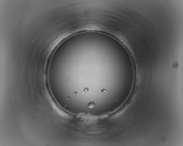 X0000111660845200907171608