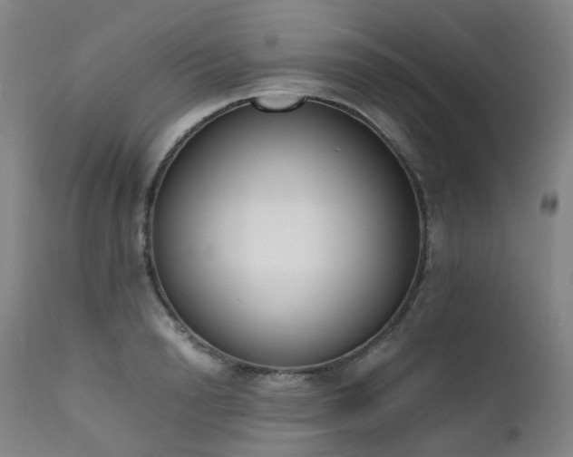 X0000111660846200907171608
