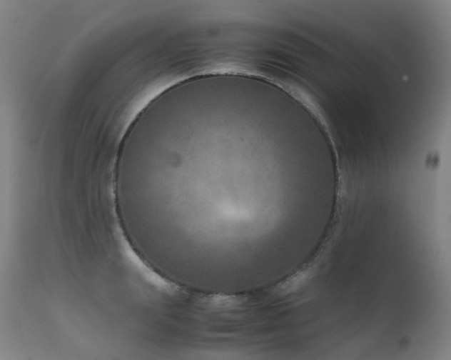 X0000111660847200907171608