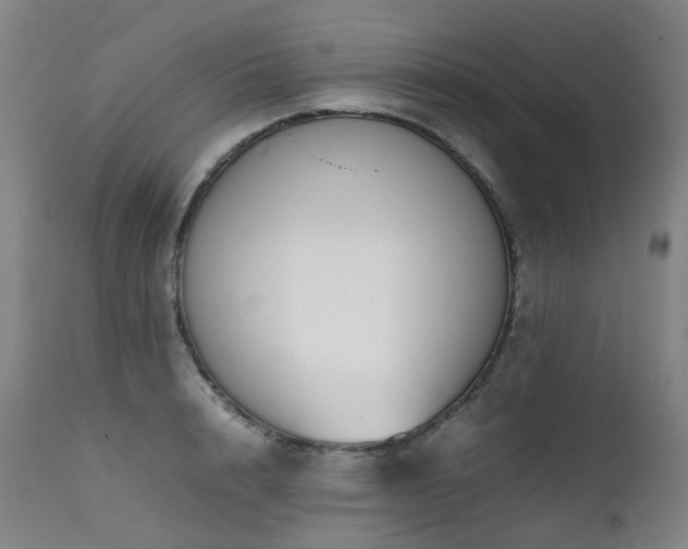X0000111660848200907171608