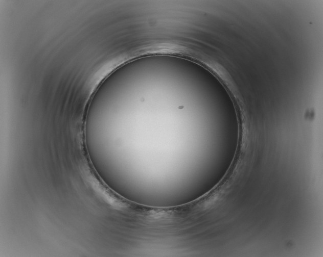 X0000111660850200907171608