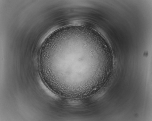 X0000111660851200907171608