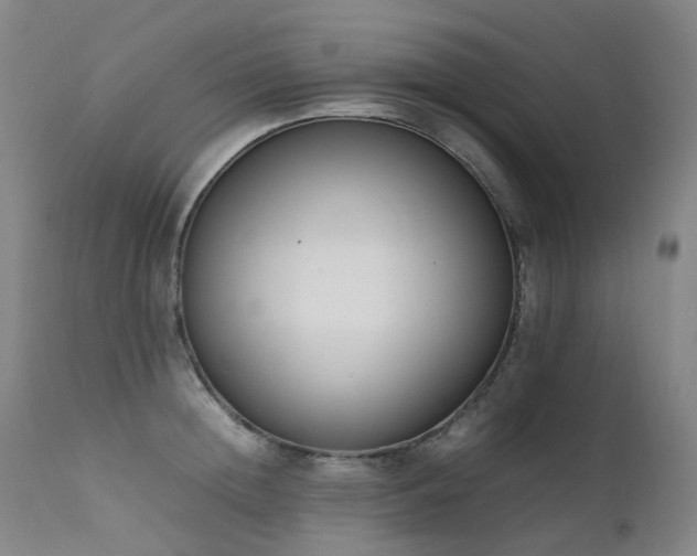 X0000111660852200907171608