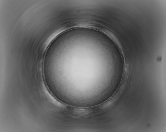 X0000111660855200907171608