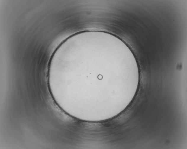 X0000111660856200907171608