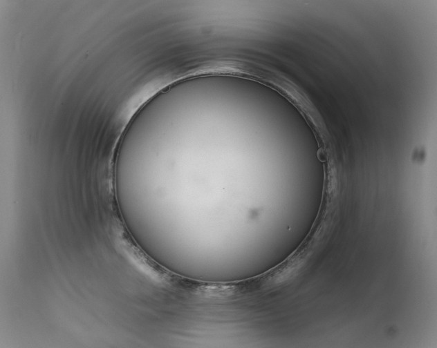 X0000111660858200907171608