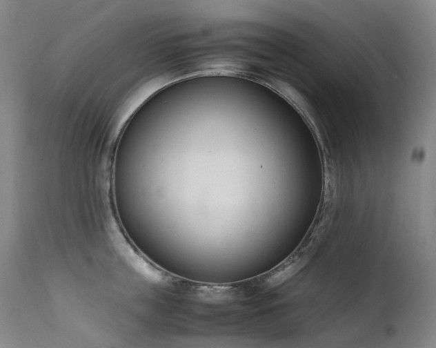 X0000111660859200907171608