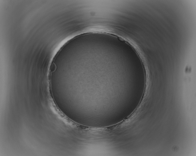 X0000111660864200907171608