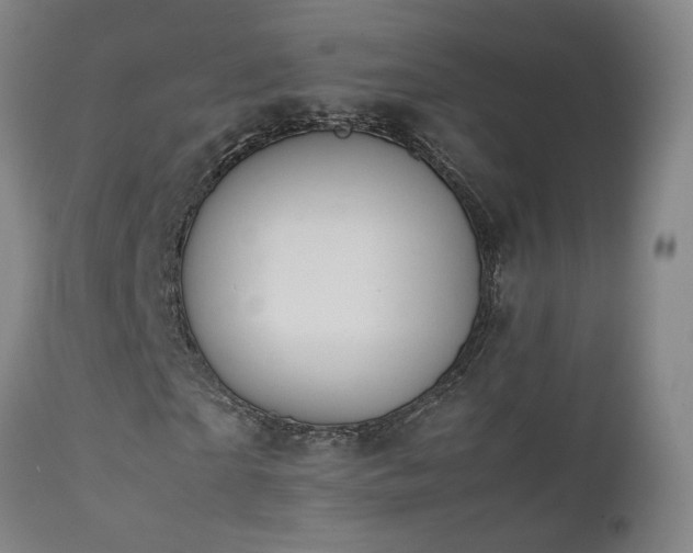 X0000111660865200907171607