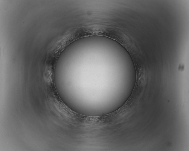 X0000111660866200907171607
