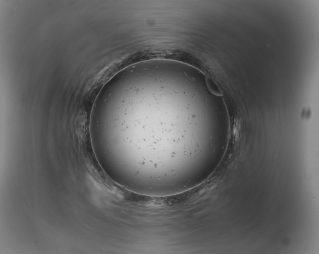 X0000111660867200907171607