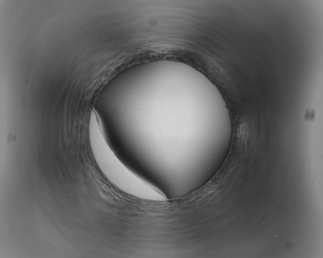 X0000111660868200907171607