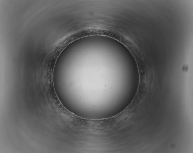 X0000111660870200907171607