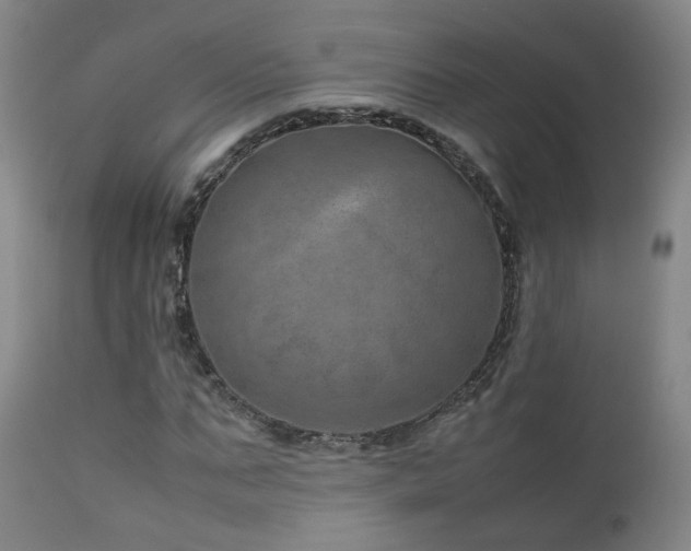X0000111660871200907171607
