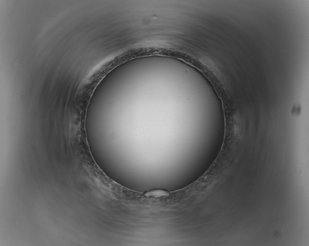 X0000111660872200907171607