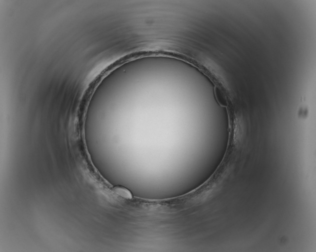 X0000111660876200907171607