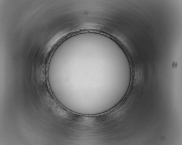 X0000111660878200907171607