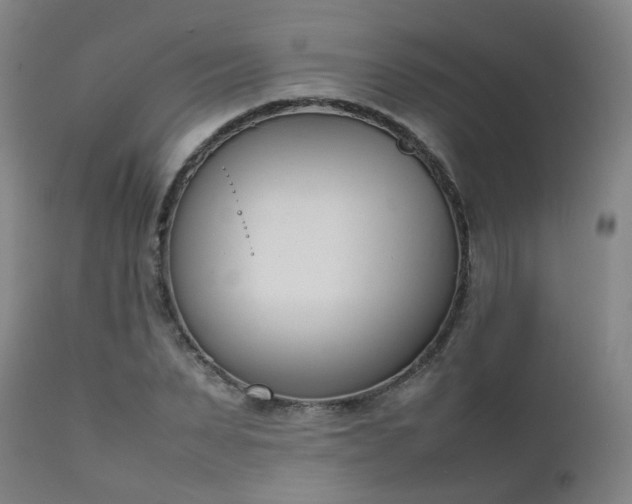 X0000111660879200907171607