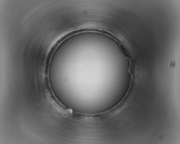 X0000111660880200907171607