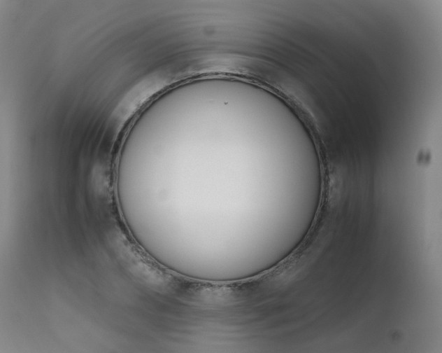 X0000111660882200907171607