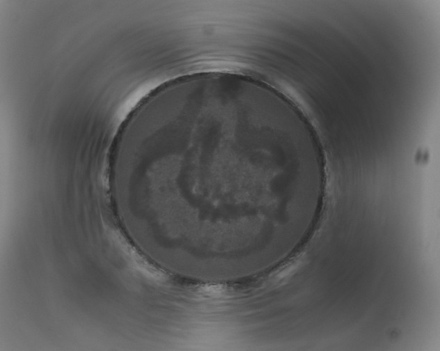 X0000111660883200907171607