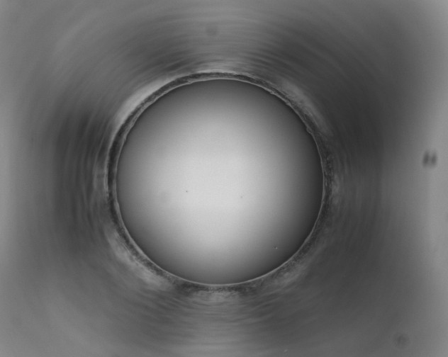 X0000111660884200907171607